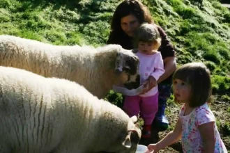 Kurban Ve Çocuk