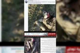 Zeytin dalı harekatı Sosyal Medya