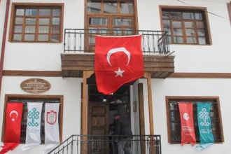 Aşık Veysel Kültür Ve Sanat Evi