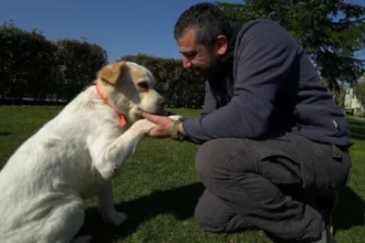 Ali Yeşilırmak