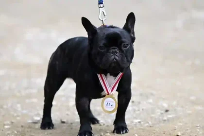 İzmir Köpekle Kros Etkinliği