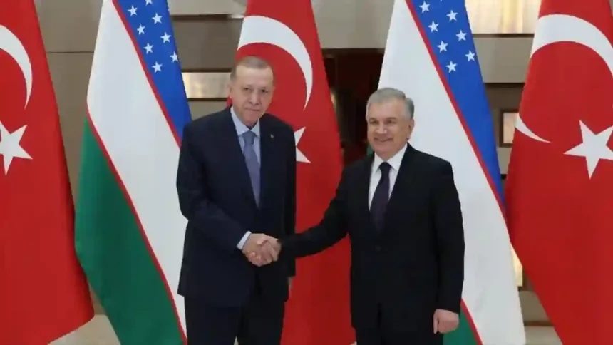 Şevket Mirziyoyev - Recep Tayyip Erdoğan