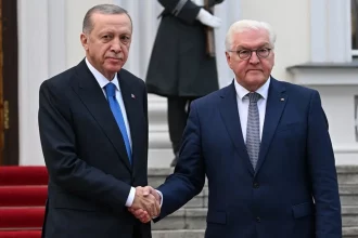 Walter Steinmeier - recep Tayyip Erdoğan