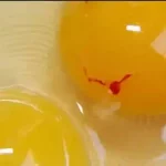 Yumurta Sarısı