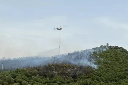 Çanakkale Orman Yangını