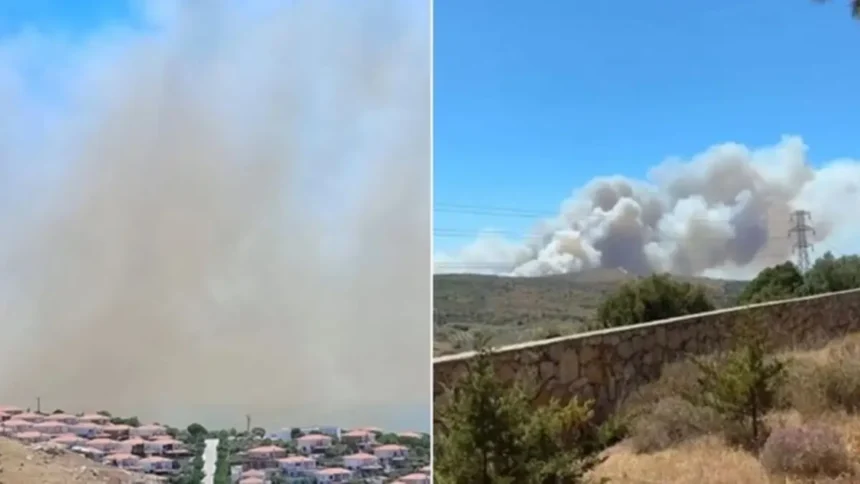 Çeşme Orman Yangını