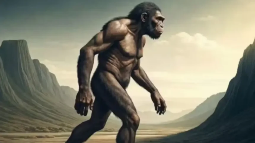 Homo juluensis