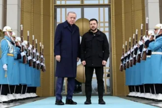 Erdoğan - Zelenskiy