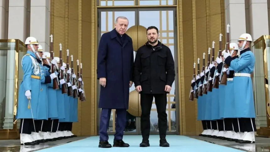 Erdoğan - Zelenskiy
