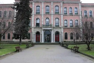 İstanbul Üniversitesi