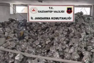 Sahte Bebek Maması