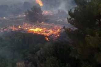 Çeşme Yangın