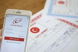 E-devlet Tapu