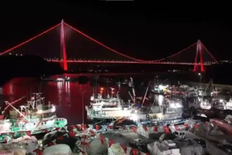 İstanbul Balıkçı
