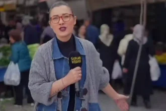 Sokak Kedisi Youtube