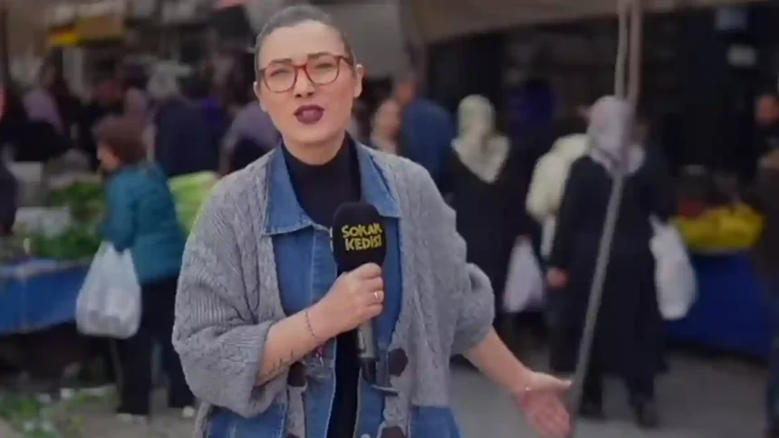 Sokak Kedisi Youtube