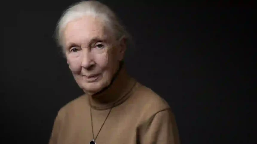 Jane Goodall