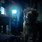 Good Boy