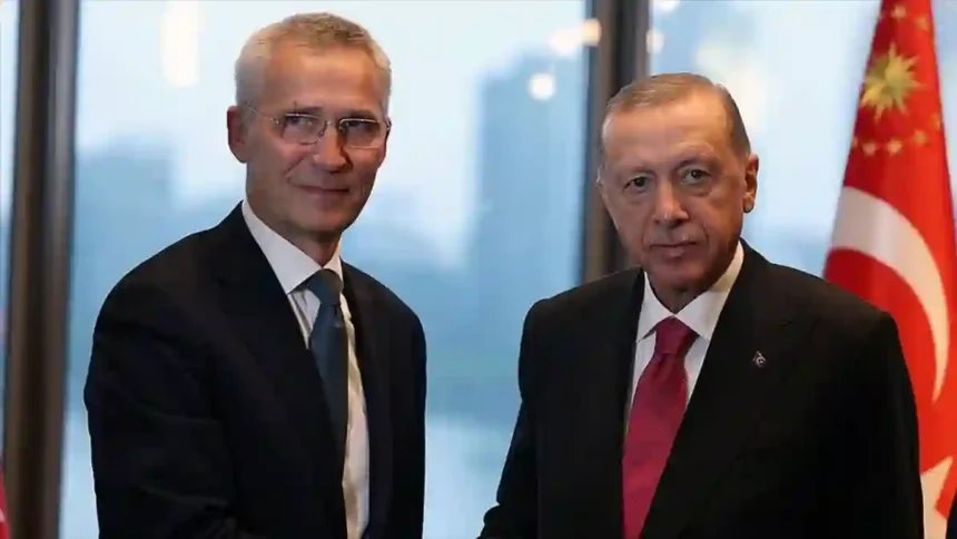 Stoltenberg Cumhurbaşkanı Erdoğan