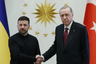 Erdoğan - Zelenskiy