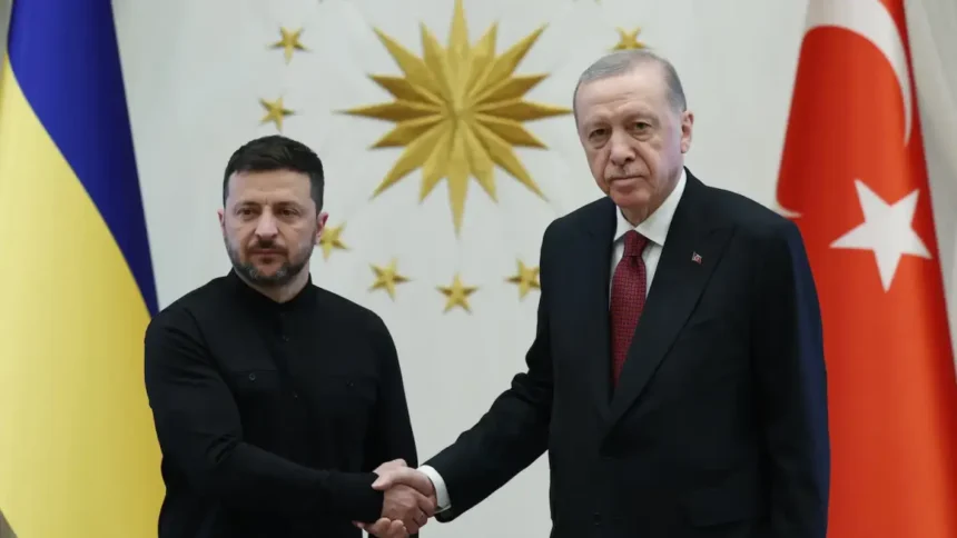 Erdoğan - Zelenskiy