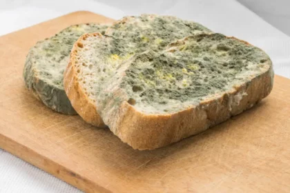 Küflü Ekmek