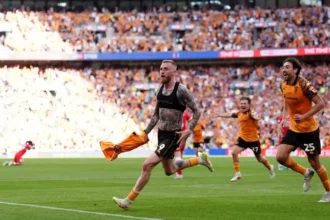 Hull City
