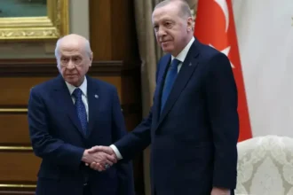 Tayyip Erdoğan - Devlet Bahçeli